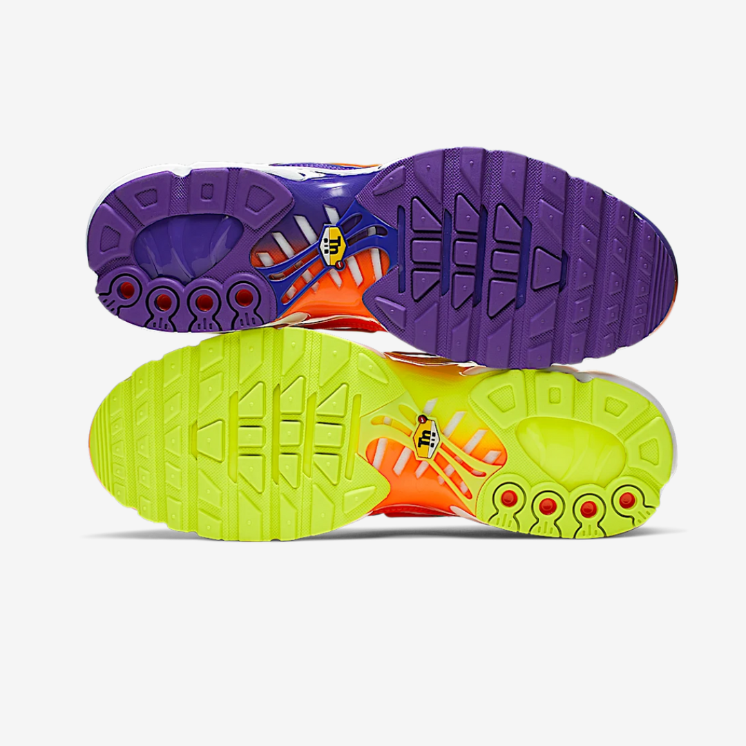 Nike Air Max Plus Tn Colour Flip