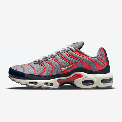 Nike Air Max Plus Tn USA Grey