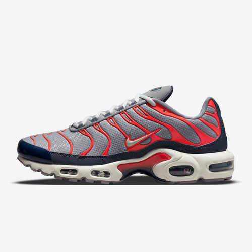 Nike Air Max Plus Tn USA Grey