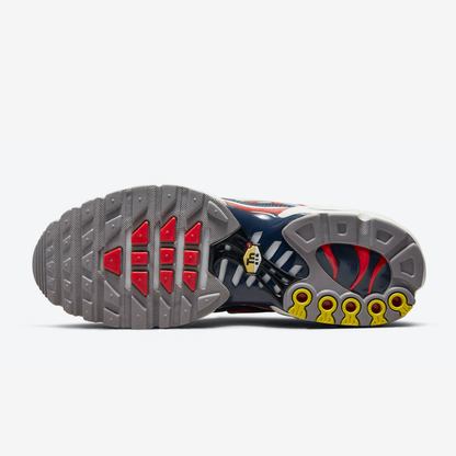 Nike Air Max Plus Tn USA Grey