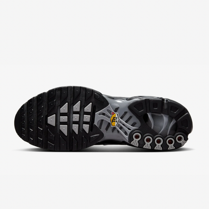 Nike Air Max Plus Tn Multi Swoosh