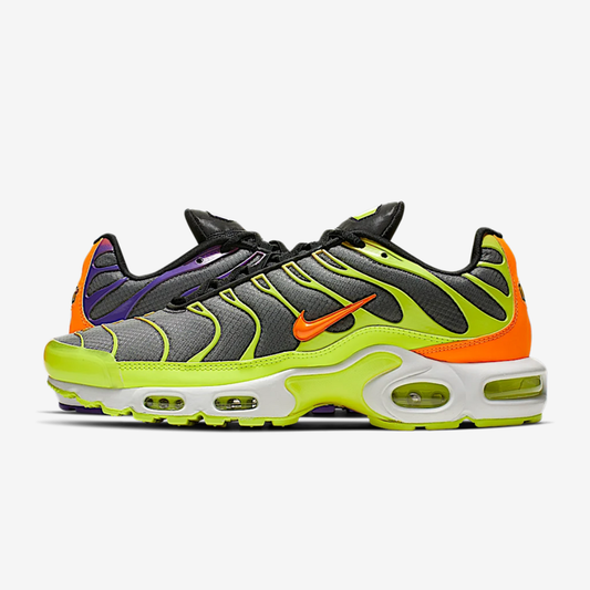 Nike Air Max Plus Tn Colour Flip